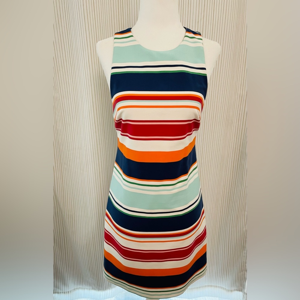 Zara Multicolored Dress